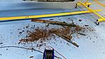 Click image for larger version

Name:	6 PIC-06883.jpg
Size:	2.50 MB
ID:	583