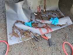 Click image for larger version

Name:	20200906_143519.jpg
Size:	212.8 KB
ID:	10123