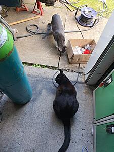 Click image for larger version

Name:	20210517_182256.jpg
Size:	171.6 KB
ID:	15060