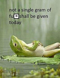 Click image for larger version

Name:	PIC-0839-2.jpg
Size:	37.7 KB
ID:	3150